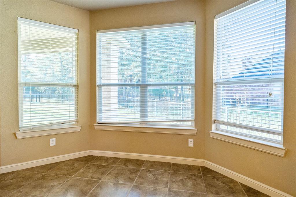 16857 Falcon Sound Drive, Montgomery, TX 77356