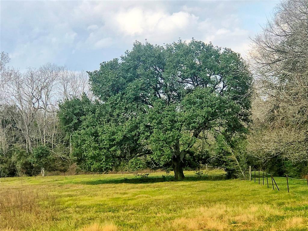 TBD County Road 221  , Schulenburg, Texas image 13