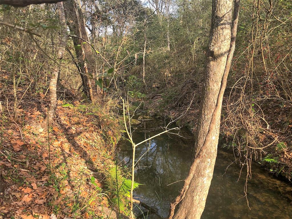 TBD County Road 221  , Schulenburg, Texas image 14