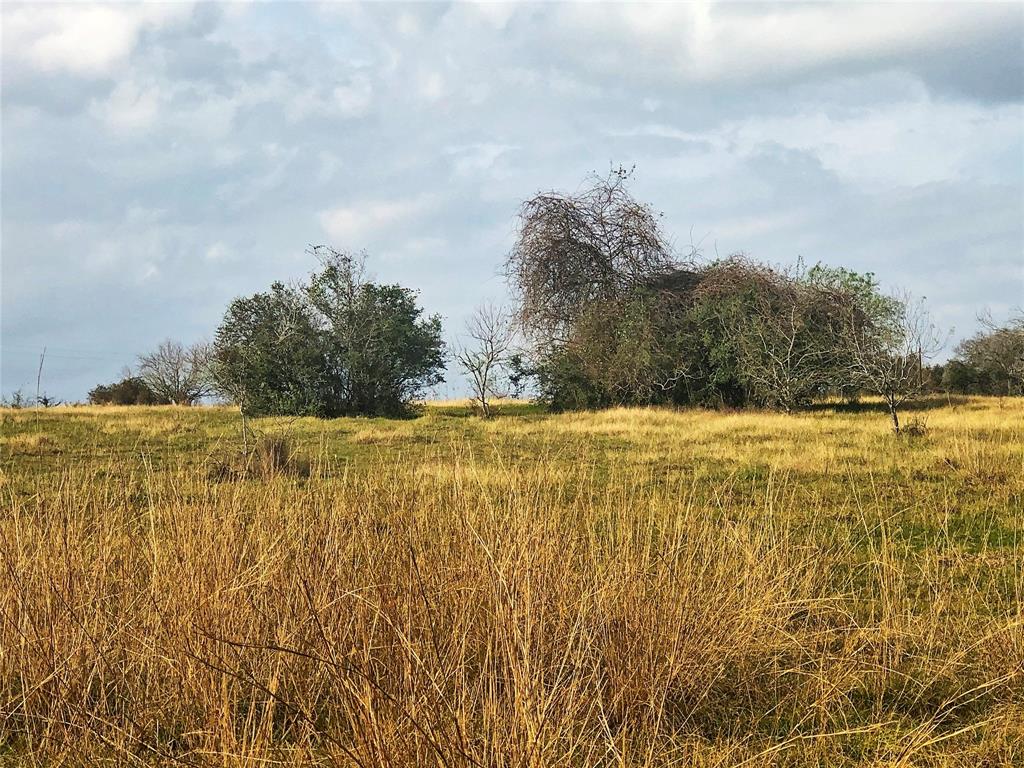 TBD County Road 221  , Schulenburg, Texas image 6