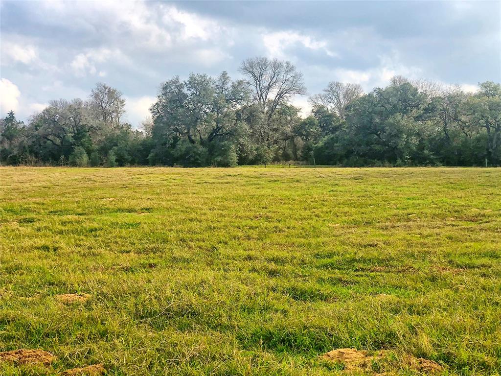 TBD County Road 221  , Schulenburg, Texas image 10