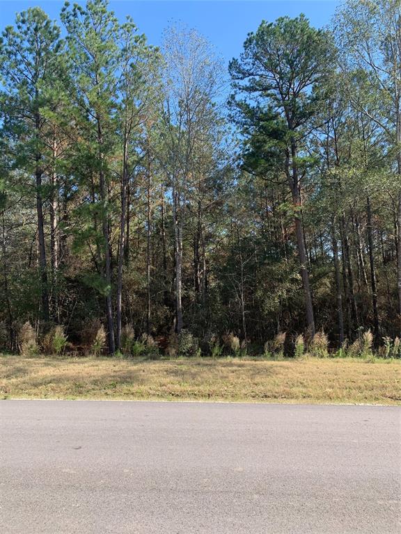 51-24  Lonestar Road Road Huntsville Texas 77340, 43