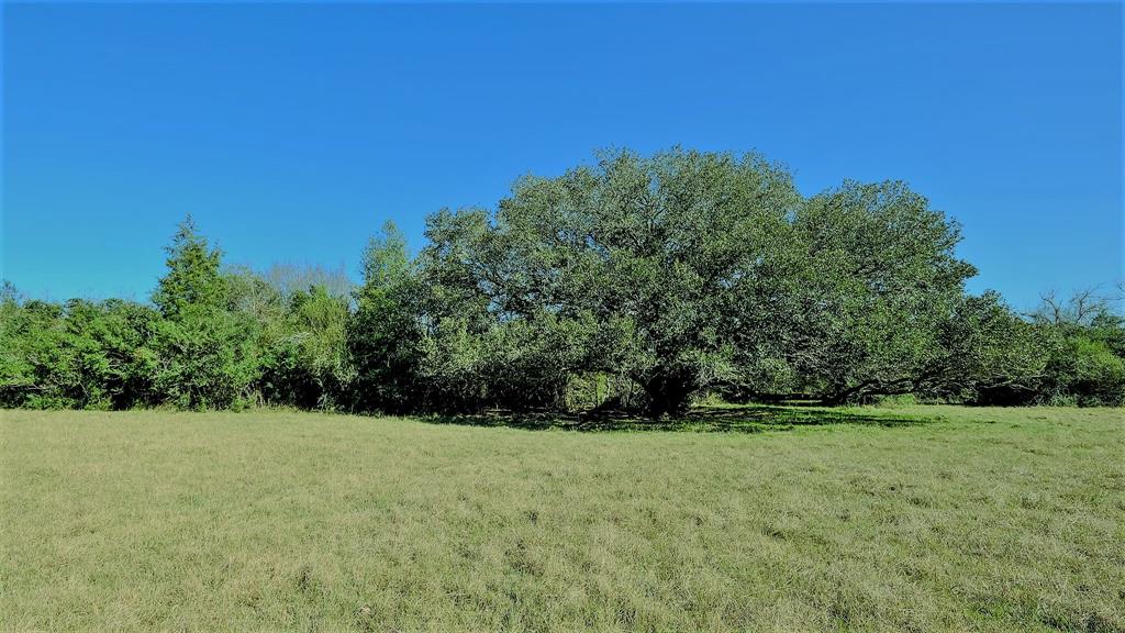 26266 Fields Store Road , Hockley, Texas image 13