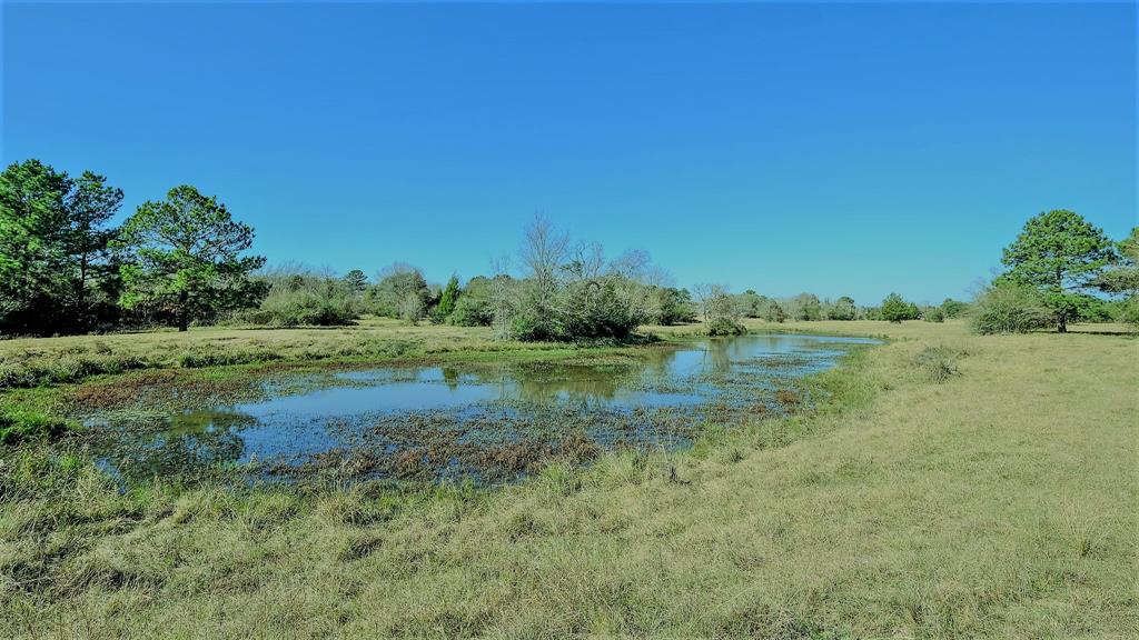 26266 Fields Store Road , Hockley, Texas image 31