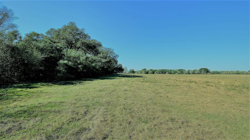 26266 Fields Store Road , Hockley, Texas image 36