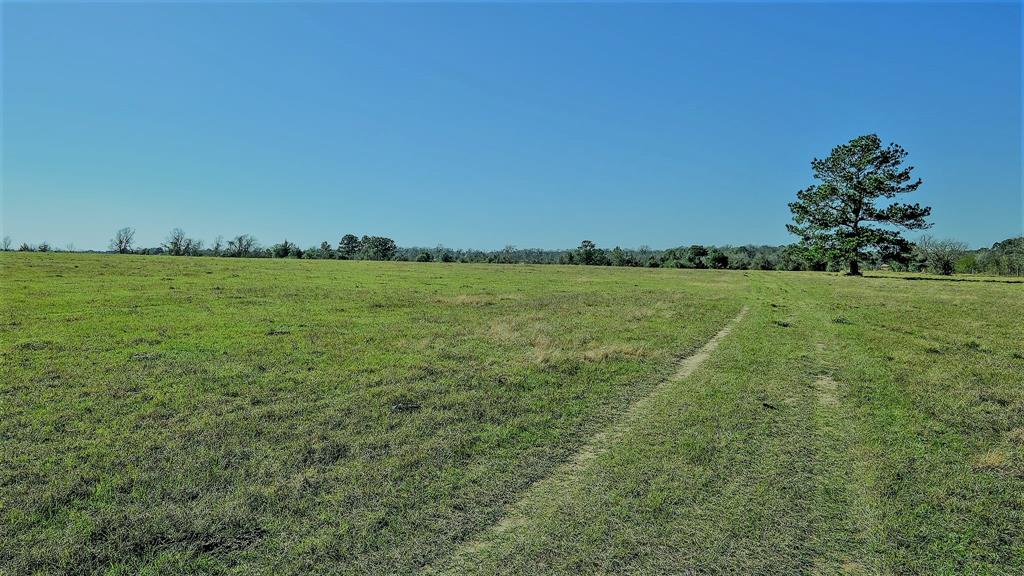 26266 Fields Store Road , Hockley, Texas image 38