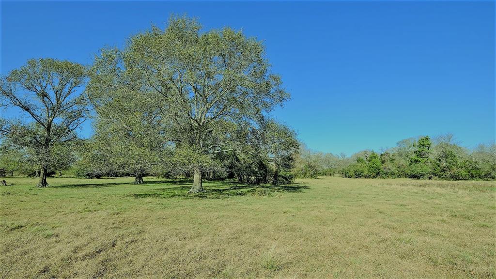 26266 Fields Store Road , Hockley, Texas image 40