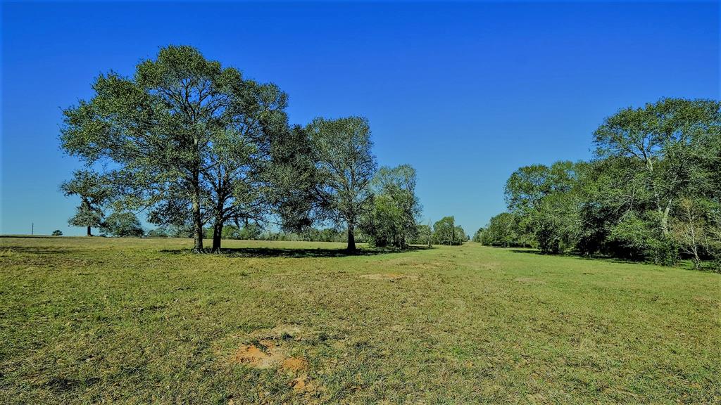 26266 Fields Store Road , Hockley, Texas image 41