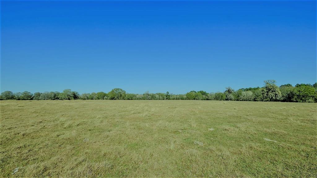 26266 Fields Store Road , Hockley, Texas image 46