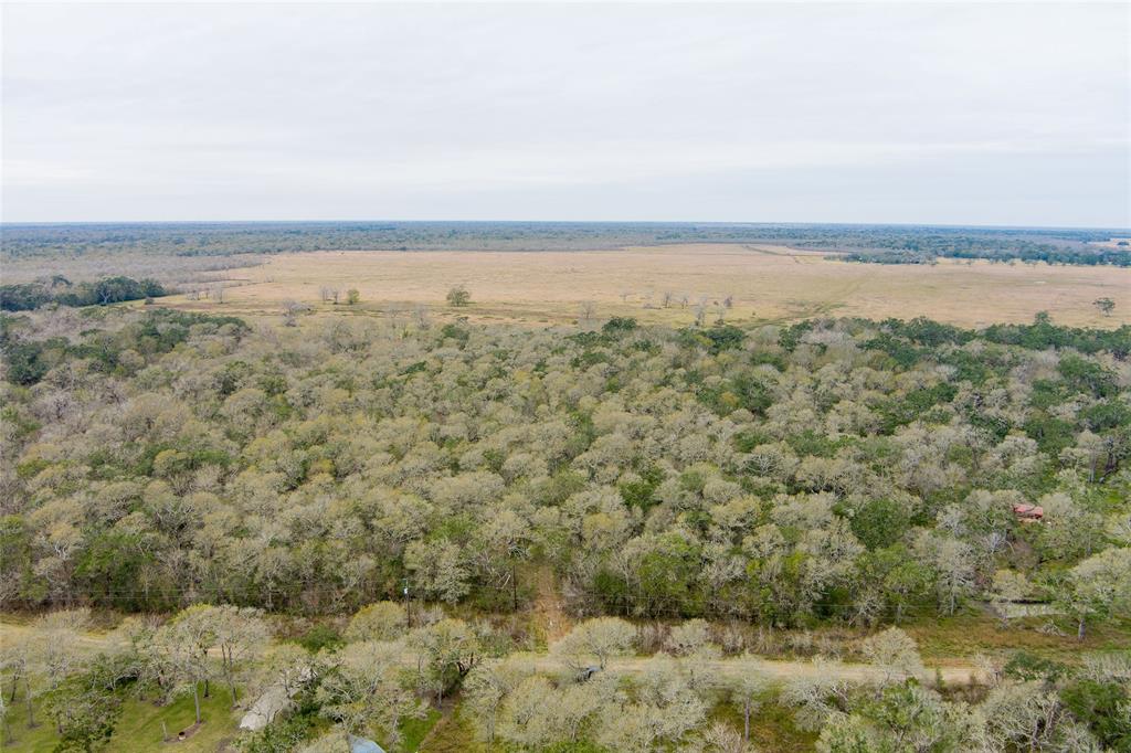 20 fenced acres of heavily wooded property in Van Vleck ISD. Great spot to build your dream home or hunting/weekend getaway! Abundance of wildlife! The views and serenity are breathtaking.  The property also has power and an RV cover with a deck!