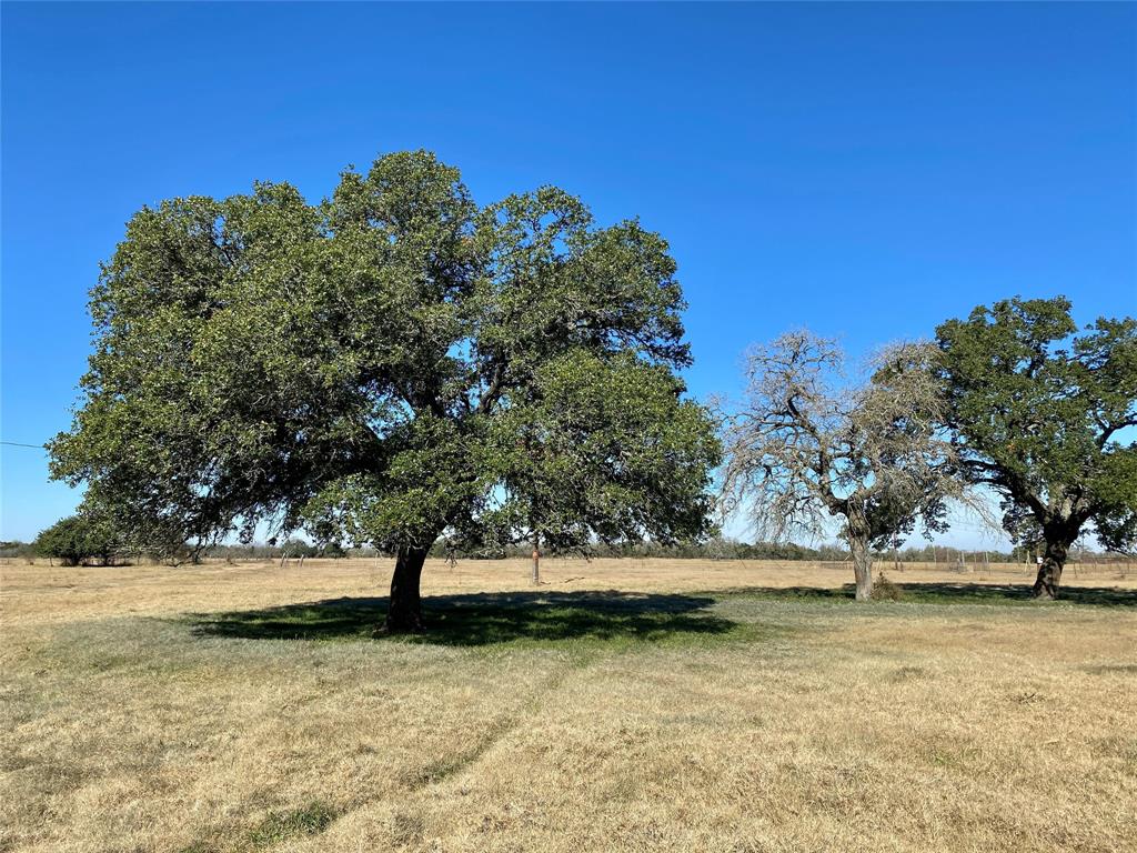 100.676 acre property located at the city limits line on the east side of Giddings. Most of this tract (approximately 83 acres) is located outside the city limits (ETJ). Approximately 17 acres is inside the city limits and is zoned Ag Residential. The homesite features beautiful live oak trees, a frame house that was built in 1950, and a detached garage. Renovate this home as a country getaway or build your dream home. The property is Ag exempt and includes three ponds, a water well, a barn and several other out buildings. This parcel is mostly flat pasture land that is fenced and cross fenced. Seller has never occupied the property and does not know the condition of it, the water well, or the appliances in the home.