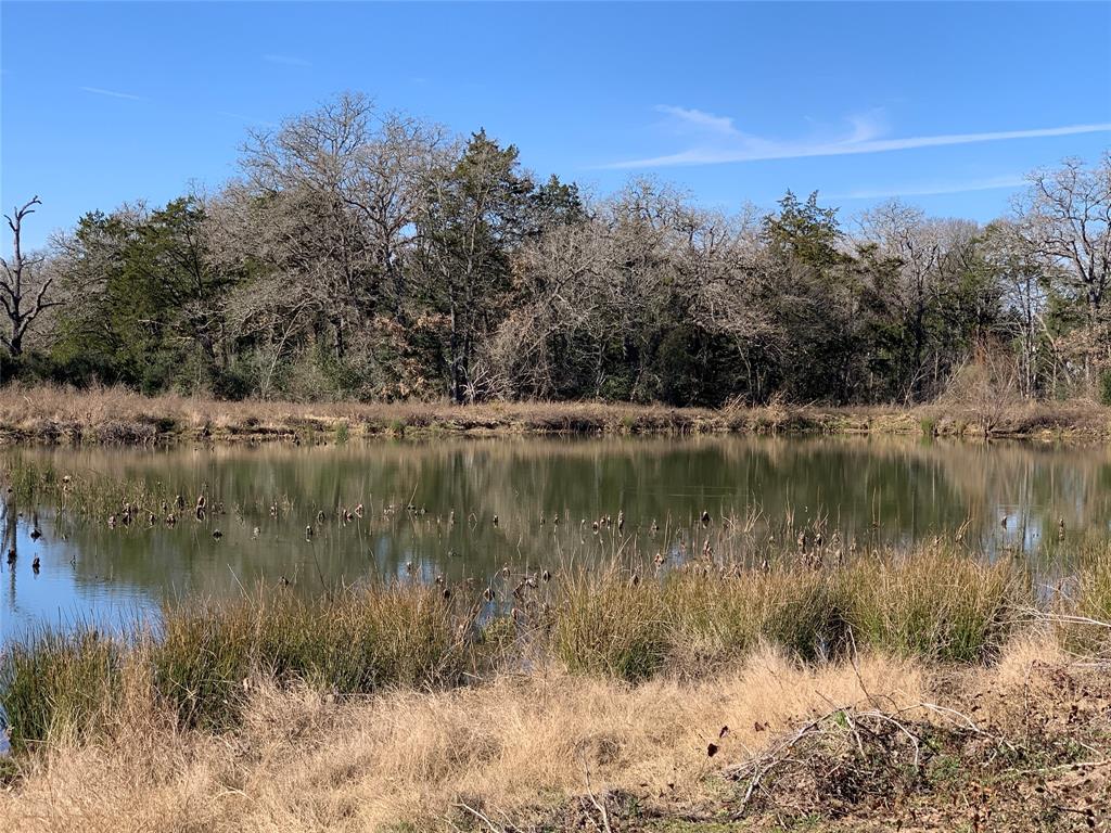 Come make this beautiful unrestricted 30+ acre property with a 2 bedroom tiny home your new home in the woods. Only 1 mile from the intersection of Hwy 290 and TX 21. Two gorgeous ponds grace this land that boasts majestic Pines, Oaks and other native trees. Wander through the trails and you will find various types of wildlife all around. The property currently has a wildlife exemption and all utilities are already in place. Close to Bastrop, Giddings and a straight shot to Austin down Hwy 290. The property being sold is 3 lots 10.1 acres each. R129083, R129084, R129085. (Bulldozer, Bees, Chicken house & chickens, horses and RV - DO NOT CONVEY).