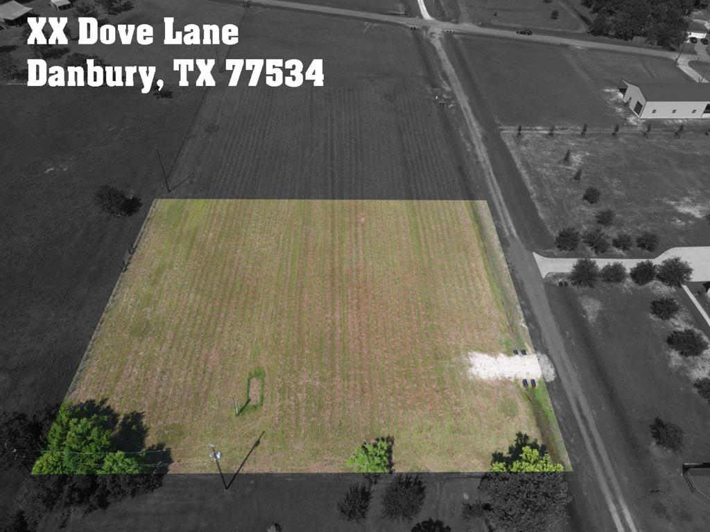 00  DOVE LN -CR 427 Drive Danbury Texas 77534, Danbury