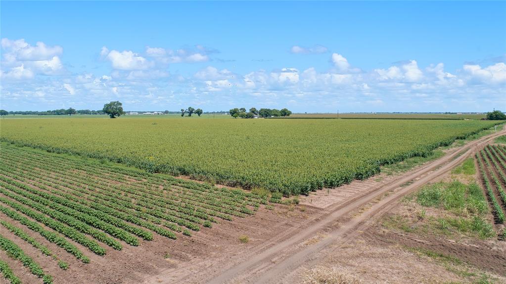 Located at the intersection of Hwy 50 and Sandy Point Road, near Texas A & M University, and just minutes from Hwy 21 and the Texas A&M RELLIS campus, this 90.36 +/- acre property is ideal for an RV Park. Current use is row crop production. The best uses for crop production would include milo, cotton, corn or soybean, and the property was leased last year for growing watermelon. The soil is approximately 80% sandy land and 20% mixed. This income producing farmland is mostly highway frontage with Sandy Point and Hwy 50. There are 2 irrigation wells on the property.  One pump is an electric submersible pump and the other is an irrigation pad.