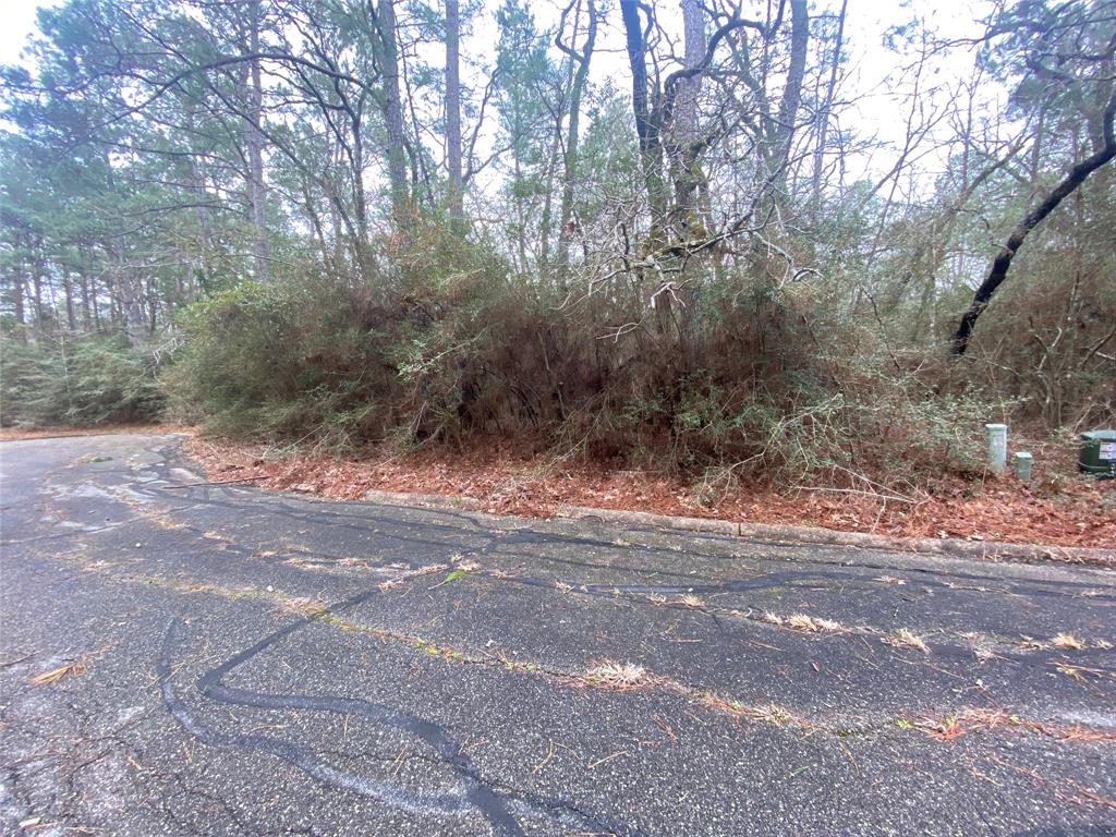 28605 Beechnut Court