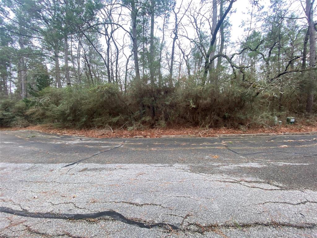 28605 Beechnut Court