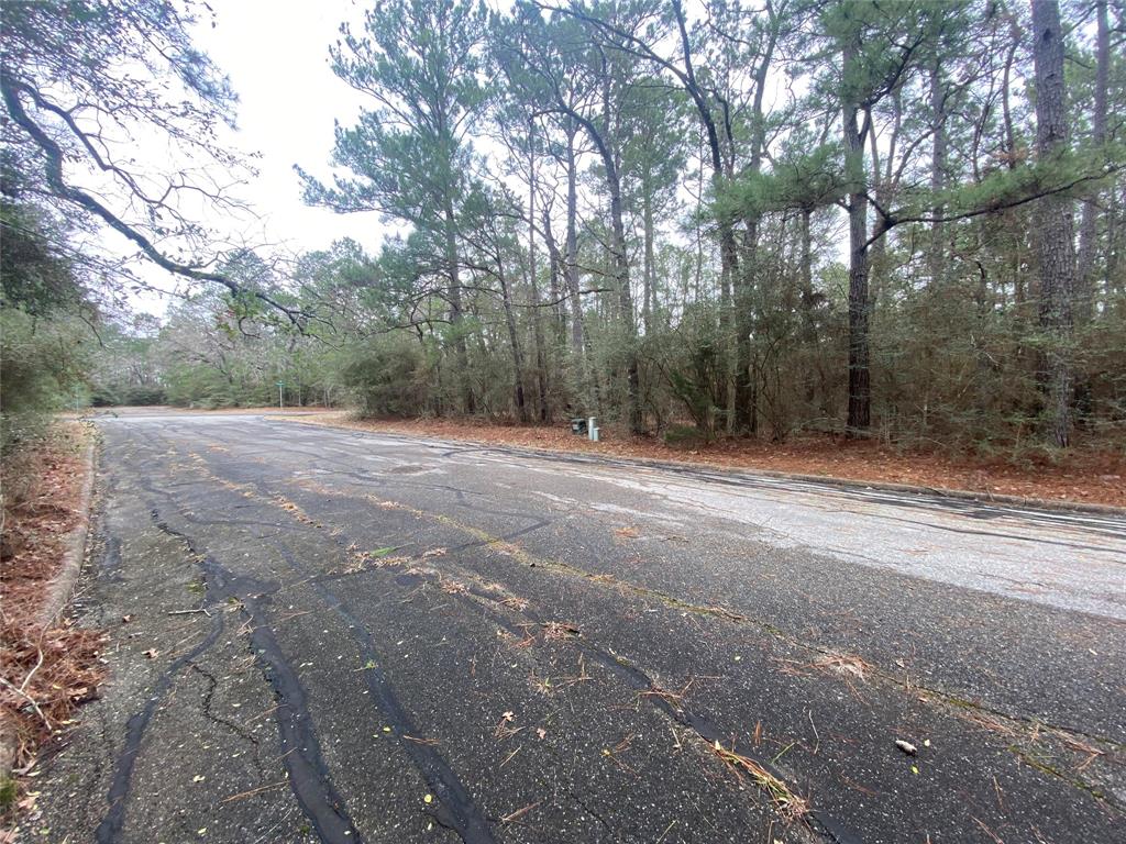 28605 Beechnut Court