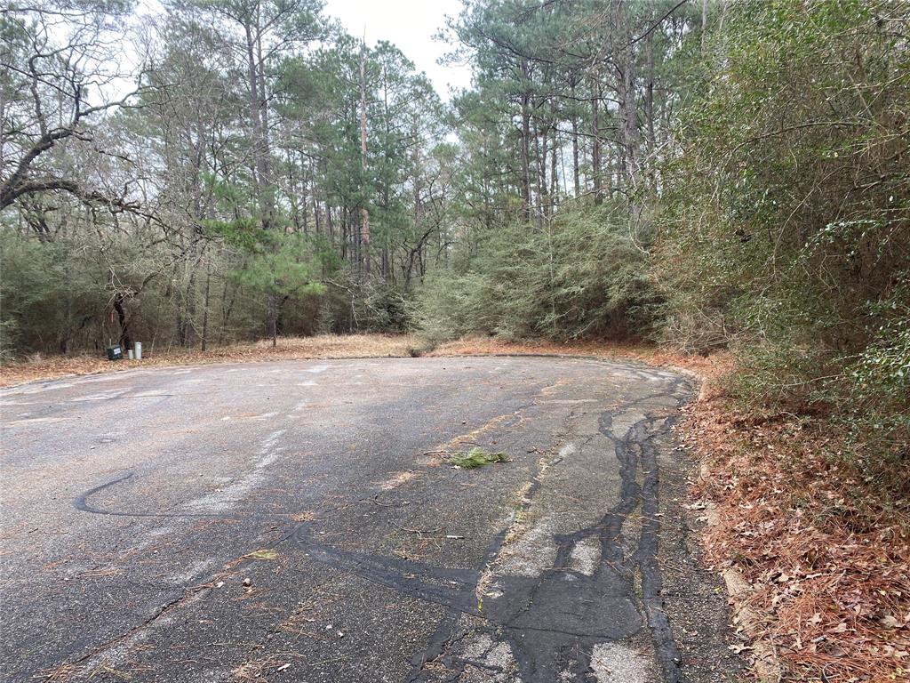 28605 Beechnut Court