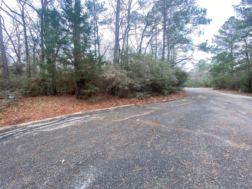 28605 Beechnut Court