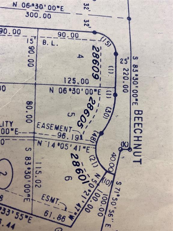 28605 Beechnut Court