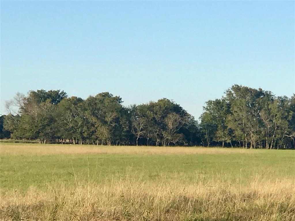 This 117 acre property is absolutely PRIME for residential development or your own private ranch! Superb pasture in place for all your cattle and equine needs. Situated 65 miles from Downtown Houston and 2 miles north of Interstate 10, this tract has direct access from a paved county road. The entire property is high and dry and is not affected by any flood zones. Additional acreage could be purchased separately. If a smaller tract is required, Seller would reduce to +-60 acres at a price of $15,000/acre.
