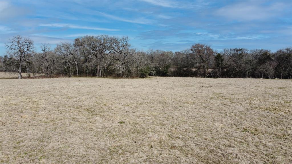TBD  County Road 156 Tract 1  Bedias Texas 77831, 60