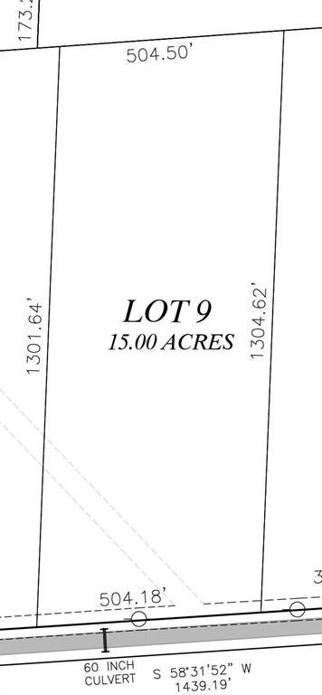 15 Acres Lot 9, Hwy 30  , Bedias, Texas image 8