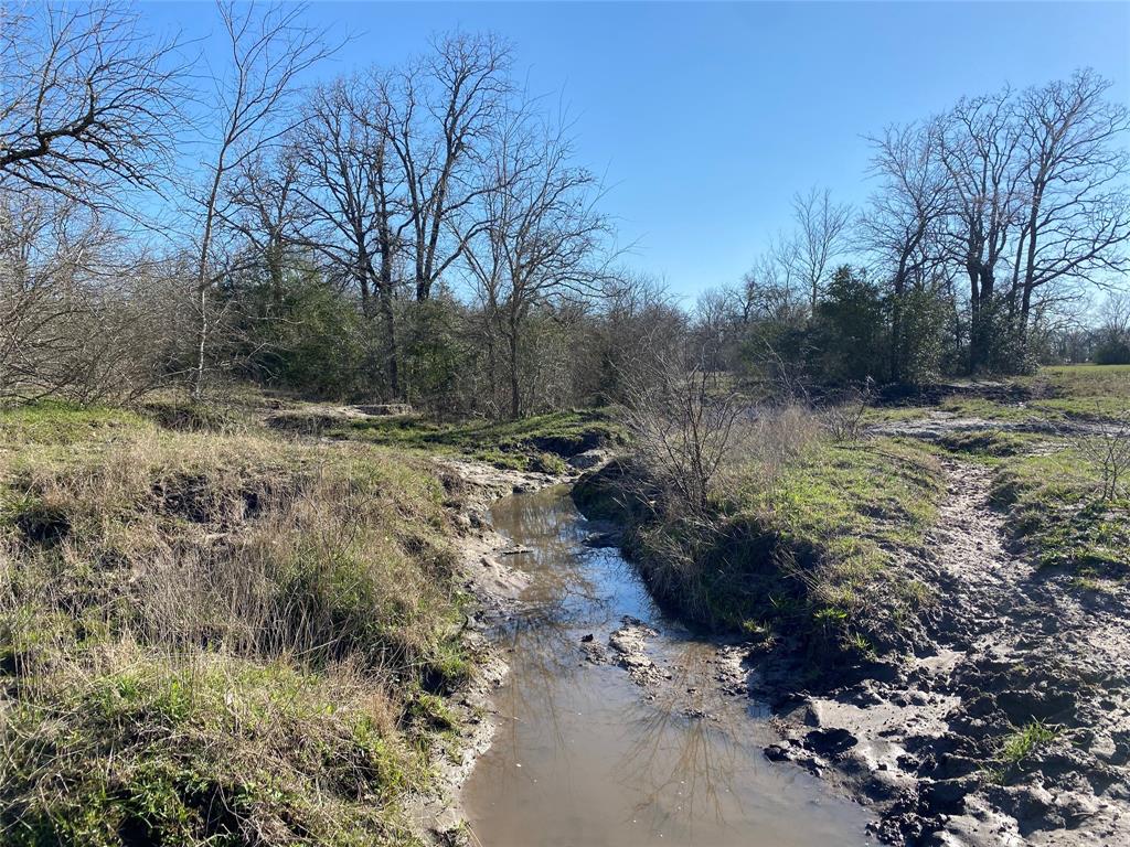 15 Acres  Lot 10 , Hwy 30  Bedias Texas 77831, 60