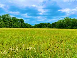 Lot 46 Lance Park, Hempstead, TX, 77445