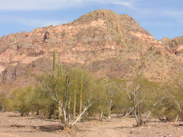 The views and location don't get better than this stunning 100 acre parcel with 400 meters of sweeping waterfront property. Create your own oasis just south of Mulege in the divine Queen of the Bays region. Enjoy life off the grid with solar power and a personal desalinization system or elect to connect to services when delivered (ask listing agent for more details). The terrain is smooth and rustic, with pristine beaches, peaceful waters, and abundance of marine life. The climate in the area is mid temps of 23 Celsius, with 330 days of sunshine. The gently sloping land is adorned with cactus lomboy, mesquites, and an abundance of vegetation typical in the Baja. Other waterfront lots also available, different sizes and prices. Virtual tour/video avail upon req. MAP PIN IS GENERAL LOCATION