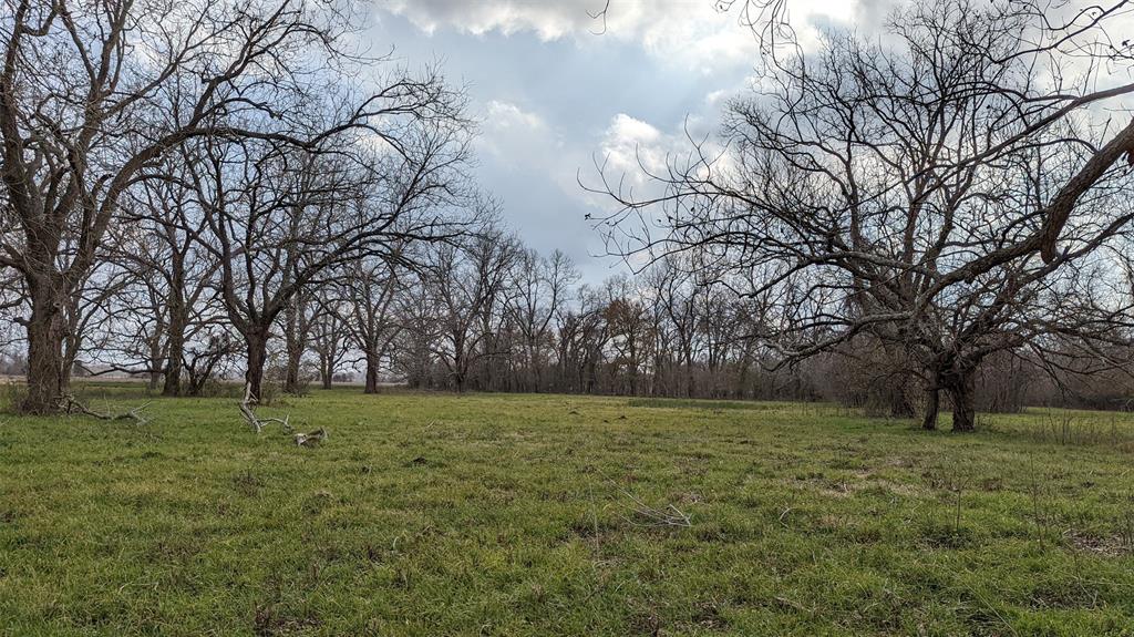 Beautiful 51 acres located near the quaint town of Glen Flora that features open pasture with some lightly wooded areas with native pecans for homesite or deer hunting. The property will grow just about anything as it has one of the best soils in the county (and for that matter ... anywhere!). An old creek channel meanders through the front and east side of the property providing for duck hunting. A natural gas pipeline crosses through the property but does not hinder the property for most uses. Electrical service is available to the property. An abandoned RR ROW that lies parallel to FM 102 is included with the property. A place like this is hard to come by and will not last long!