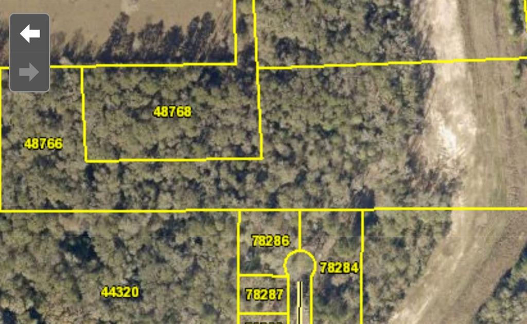 ***Working on marking the easement to gain access to the property. Temporarily no showings until then***

Looking for a piece of property to make your own? Look no further! 10 acres of wooded property to carve into whatever you want. Believed to be unrestricted, you can hunt, build, move in a mobile home, camp, have livestock, anything your heart desires. Priced to sell!