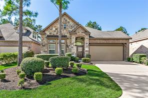35 Wolf Cabin, The Woodlands, TX, 77389