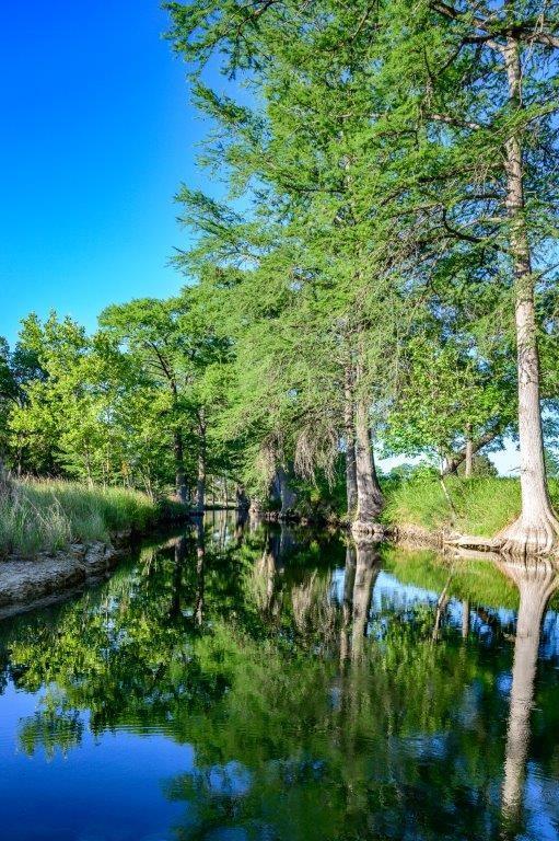 Beautiful Creek along entryway.  Open for fishing and picnics!