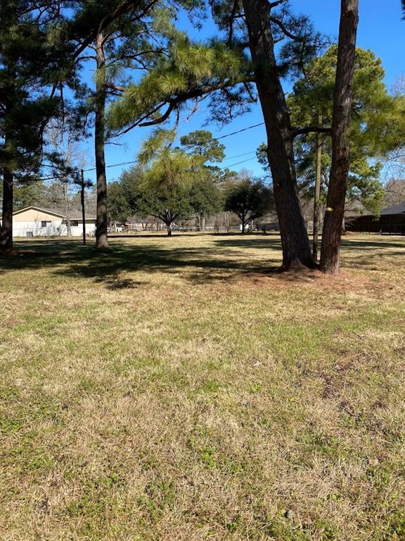 30714  Meadow Wood Drive Magnolia Texas 77354, 15