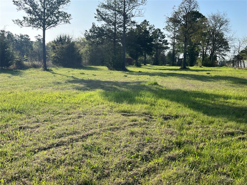 00 Sh 19, Huntsville, TX 77320