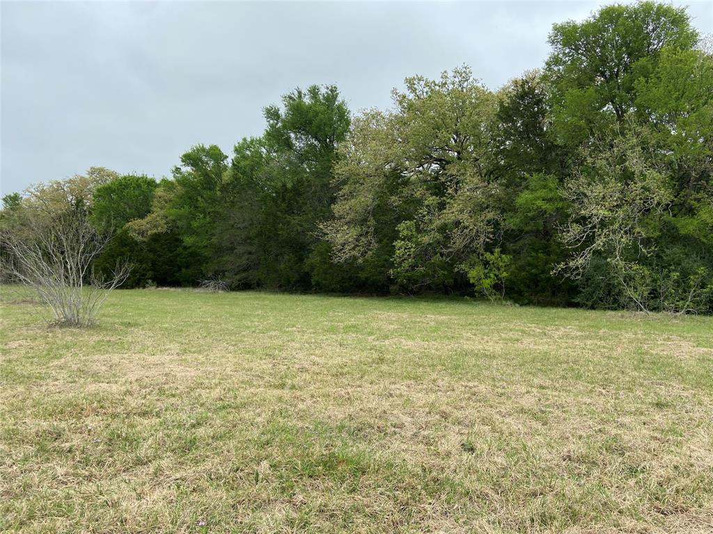 This is a beautiful and quiet property located in Paige, Texas. 13 ag-exempt acres with over 482 feet of road frontage on Grassyville. If you are looking for your quiet piece of Texas, this could be it! Centrally located amongst small town living, with quick access to hit the road to Austin! There are multiple possible home sites on the property without any clearing needed and many more options with minimal land work needed. This property is recreation-ready. A seasonal creek is located at the back of the property, with several ATV trails to get you to it. There is a new survey on the property showing boundaries. It boasts an abundance of wildlife and a variety of mature trees. It is open and rolling with scattered trees on the front part of the property and more heavily wooded in the back, but still navigable.