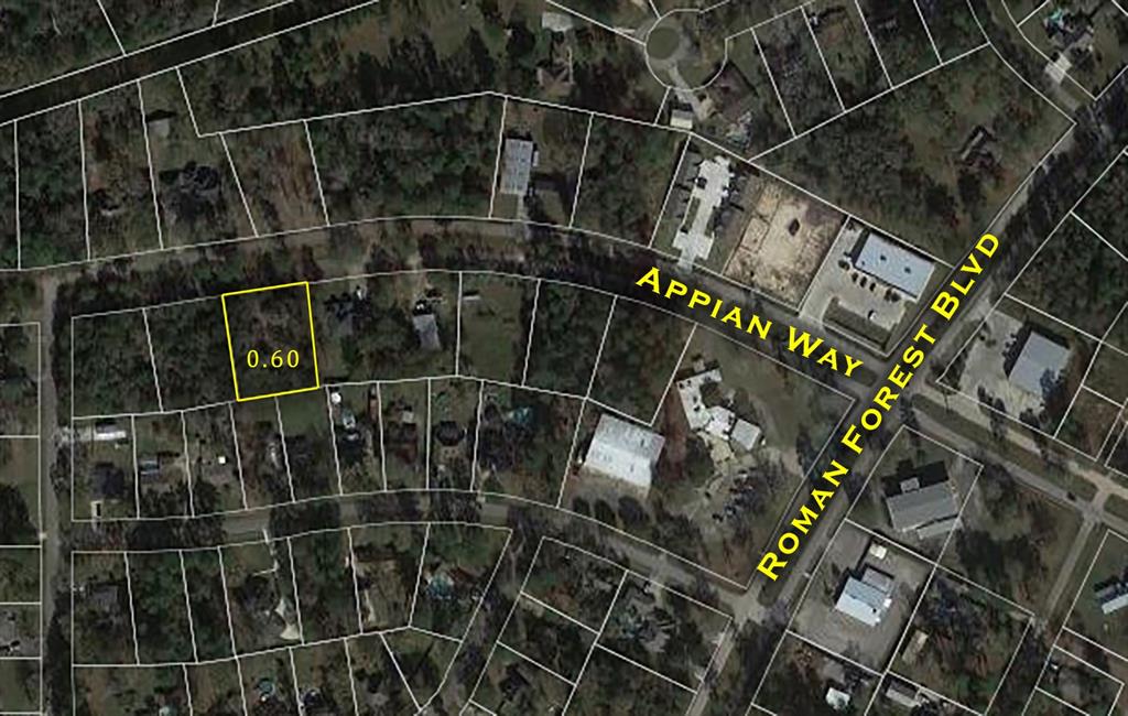 G-3  Appian Way  New Caney Texas 77357, 40