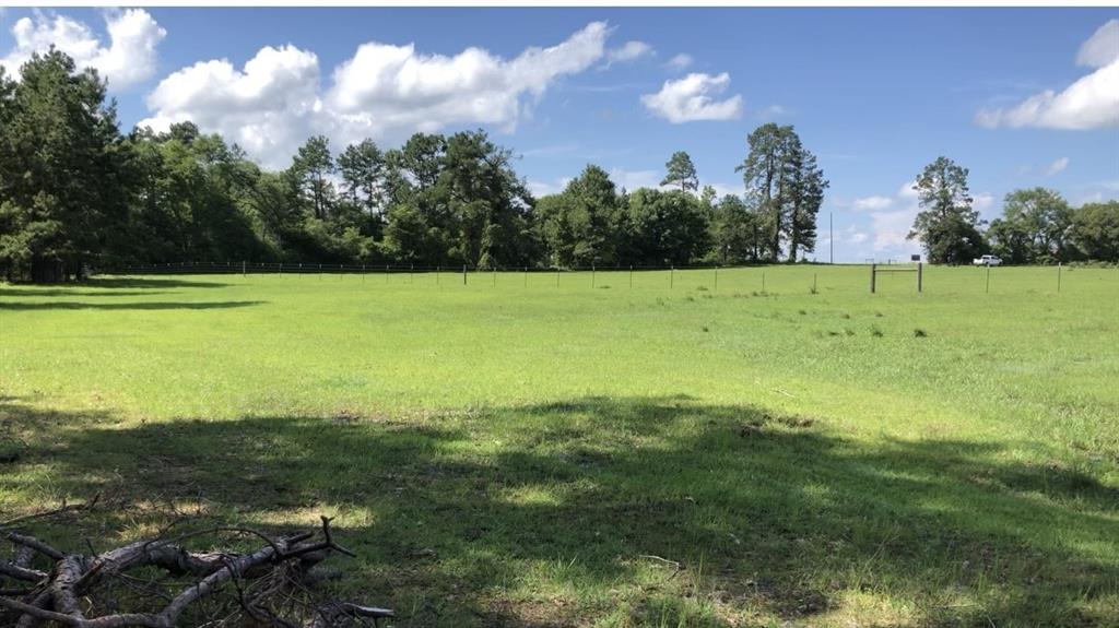 RARE FIND!  If you are ready for life in the country then check out this beautiful 10-acre tract in Apple Springs, Texas. It offers a section of wooded acreage for privacy and seclusion, plus improved pastures, a pond, wet weather creek, and Highway 94 road frontage.  Less than 3 miles from both Apple Springs and Little Centerville schools which are highly coveted. Partially fenced. Additional 3-5 acres available.  Water and electricity are easily accessible. No mobile homes. BANNER AT FRONT OF PROPERTY.