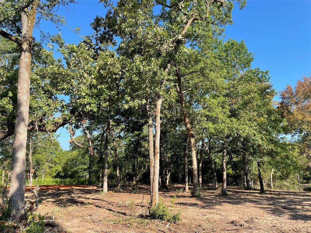 TBD Lot  27 10ac+- Timbercrest Ranch  , Jewett, Texas image 11