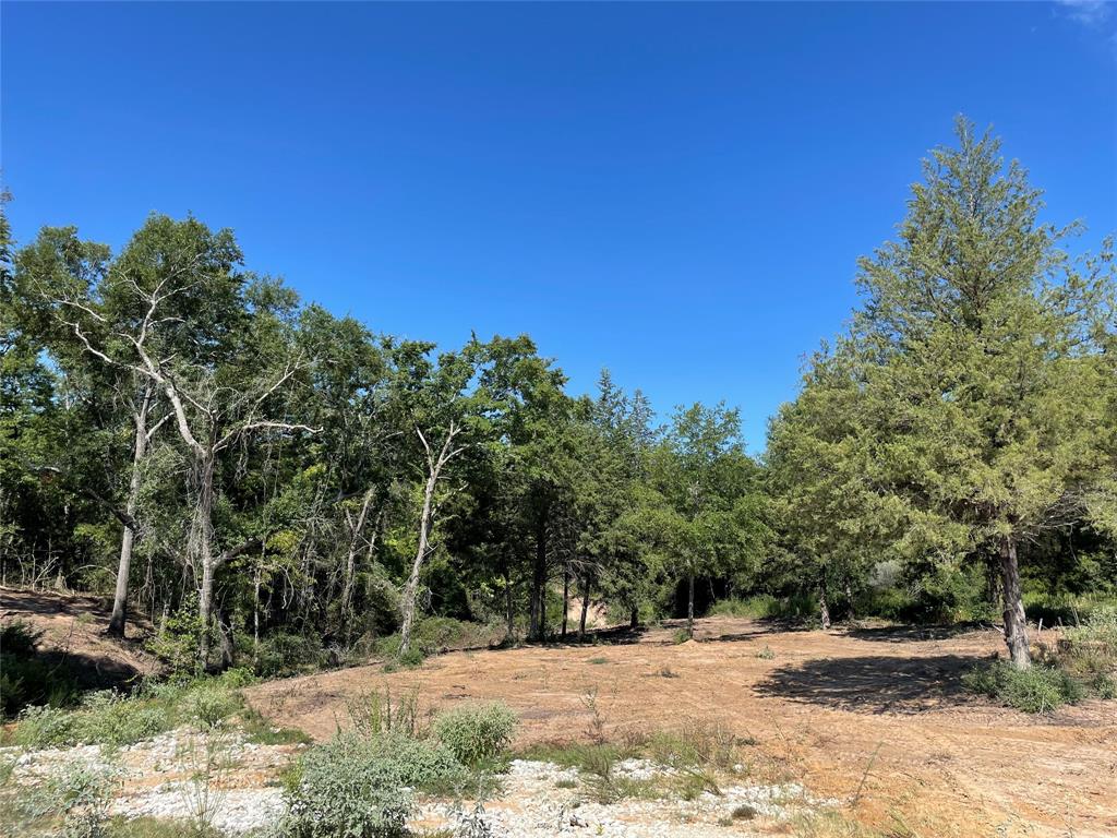 TBD Lot  27 10ac+- Timbercrest Ranch  , Jewett, Texas image 12