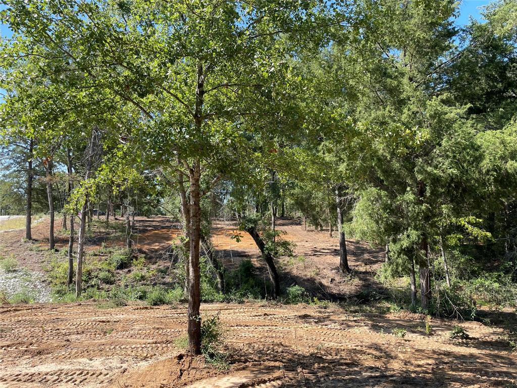 TBD Lot  27 10ac+- Timbercrest Ranch  , Jewett, Texas image 15