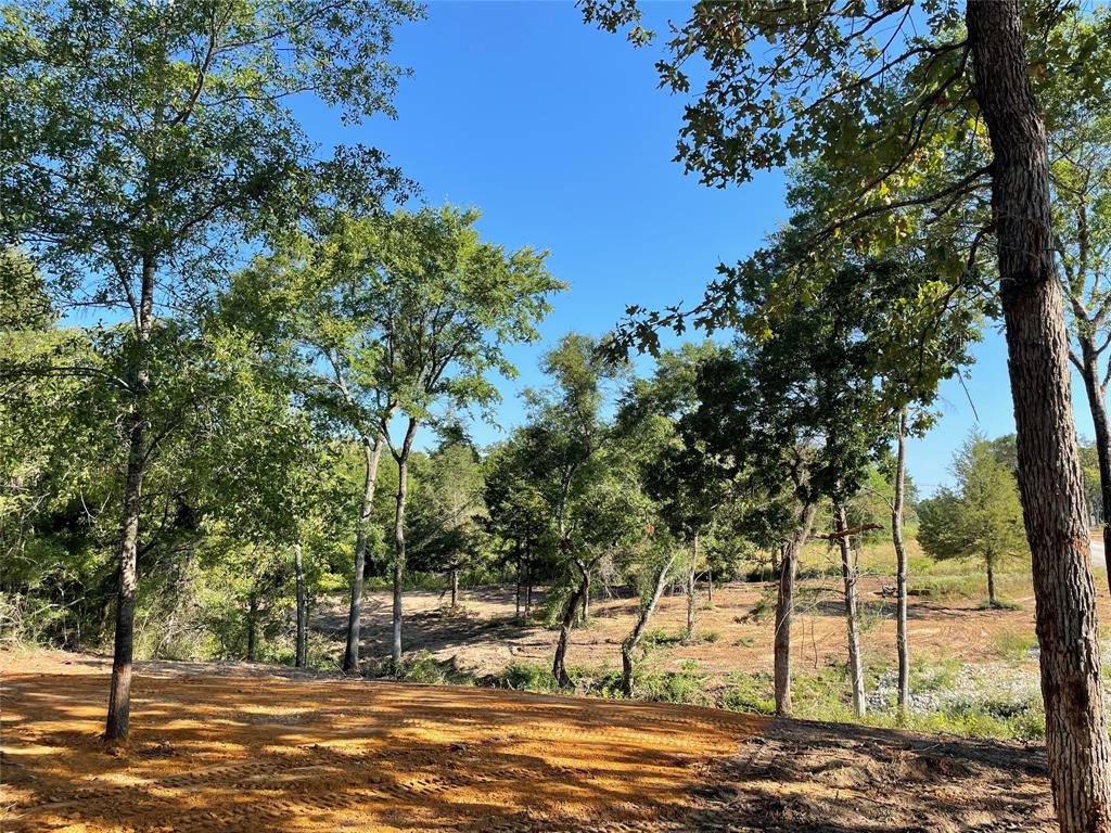 TBD Lot  27 10ac+- Timbercrest Ranch  , Jewett, Texas image 17