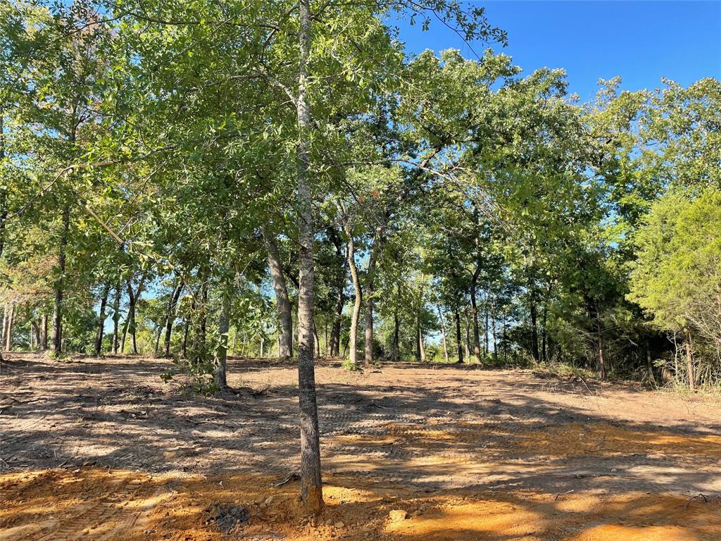 TBD Lot  27 10ac+- Timbercrest Ranch  , Jewett, Texas image 18