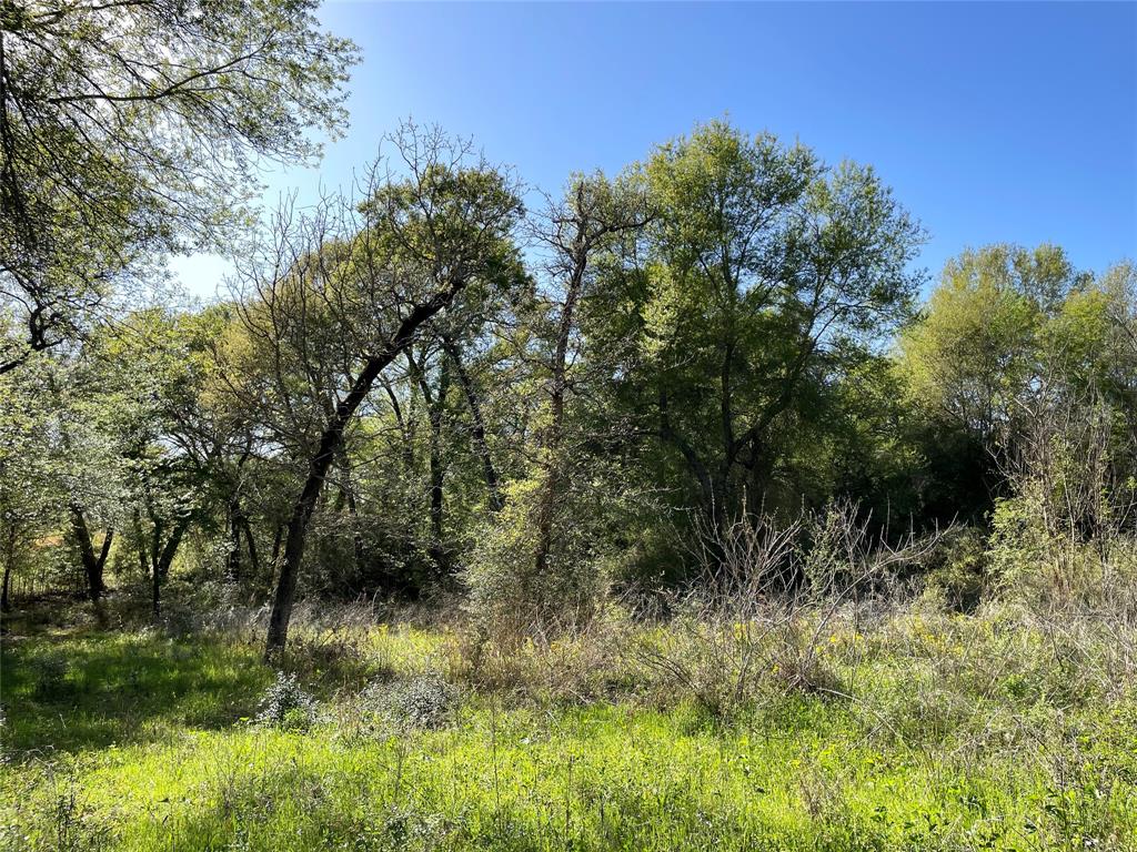 TBD Lot  27 10ac+- Timbercrest Ranch  , Jewett, Texas image 24