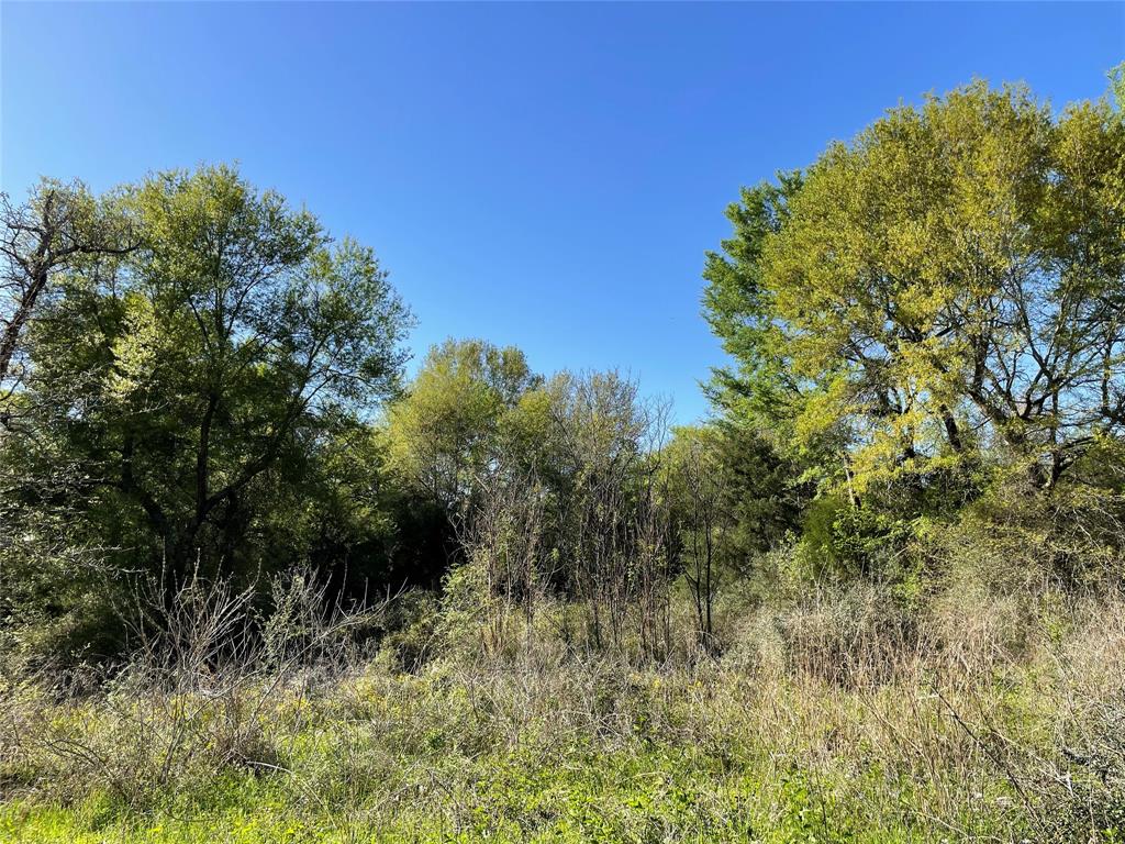 TBD Lot  27 10ac+- Timbercrest Ranch  , Jewett, Texas image 25