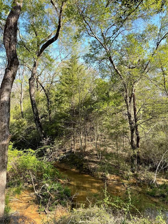 TBD Lot  27 10ac+- Timbercrest Ranch  , Jewett, Texas image 40