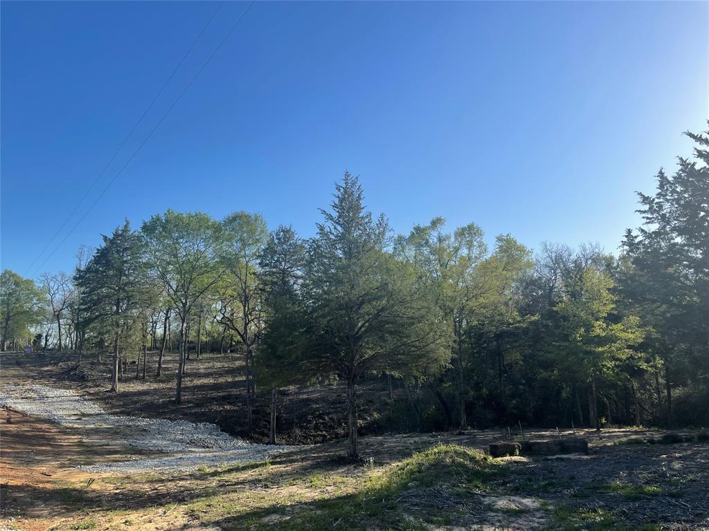 TBD Lot  27 10ac+- Timbercrest Ranch  , Jewett, Texas image 44