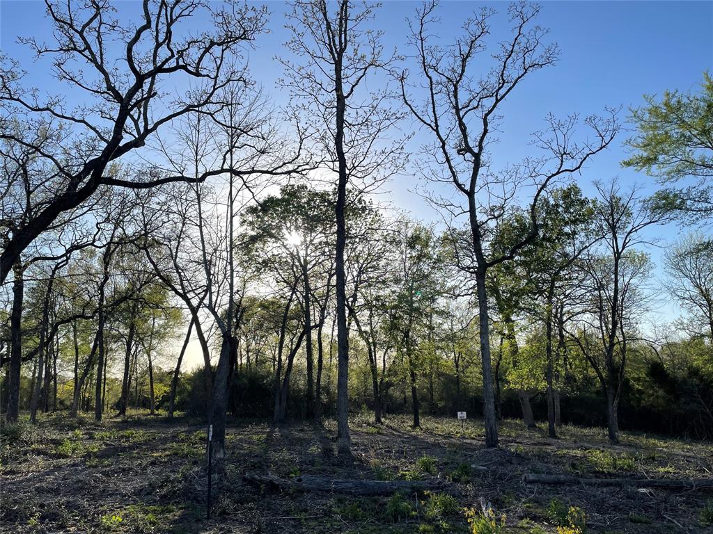 TBD Lot  27 10ac+- Timbercrest Ranch  , Jewett, Texas image 46