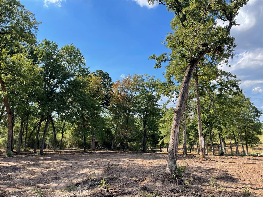 TBD Lot  27 10ac+- Timbercrest Ranch  , Jewett, Texas image 9